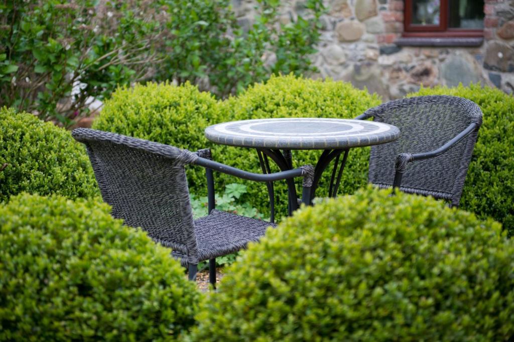 Tyn Rhos Country House Caernarfon Cameră foto